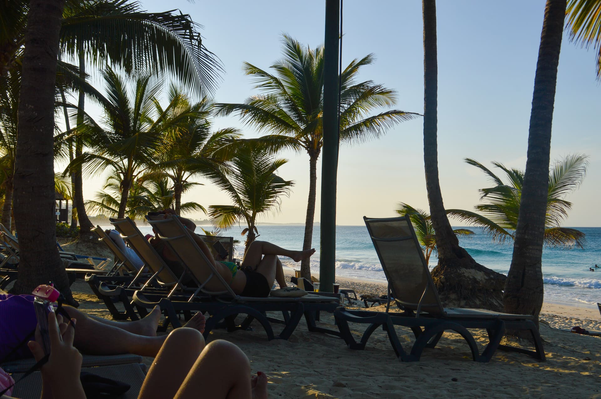 Group people are relaxing beach with palm trees
